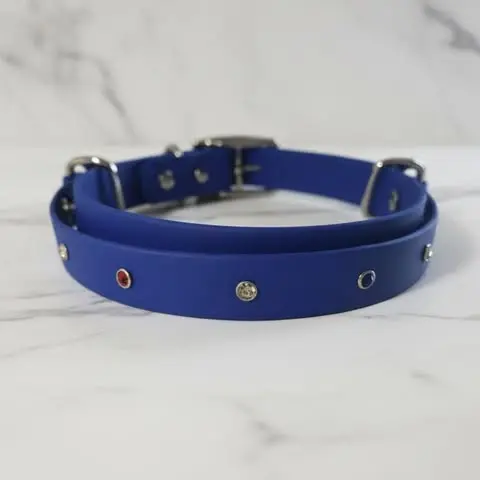 Commandant (XS (30 - 40 cm), Or, Noir)